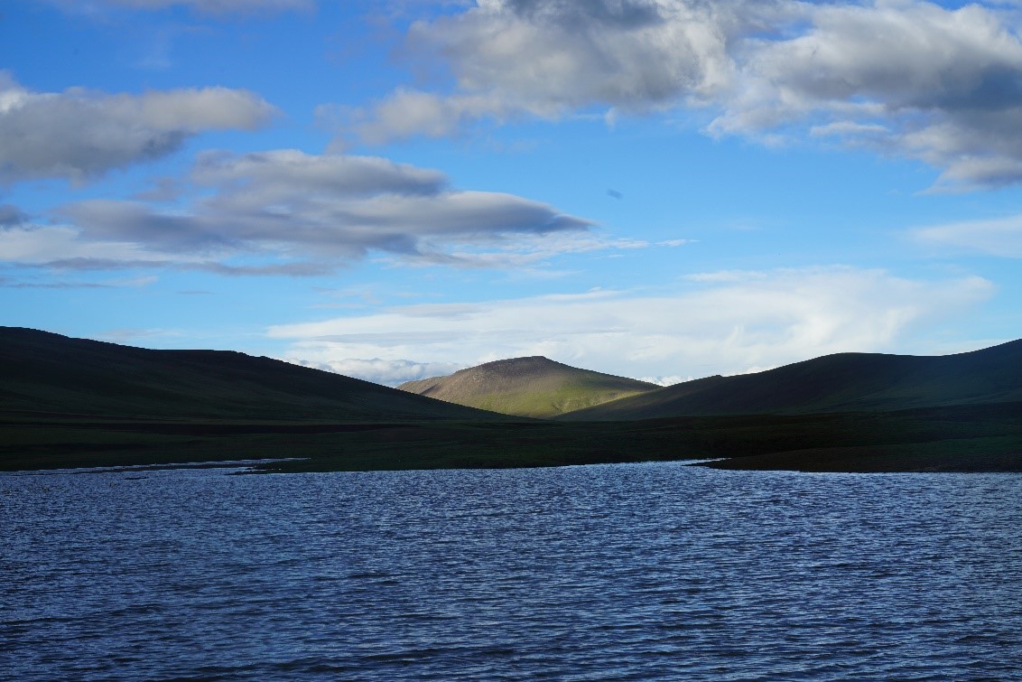   Lake wetland landscape